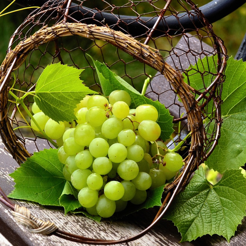 Escapada a O Ribeiro — Alojamiento 4★ + Cata en bodega o viñedo