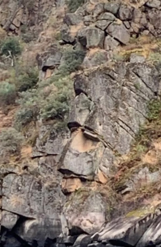 Ribeira Sacra · Cañón del Sil -Excursión guiada entre miradores y leyendas