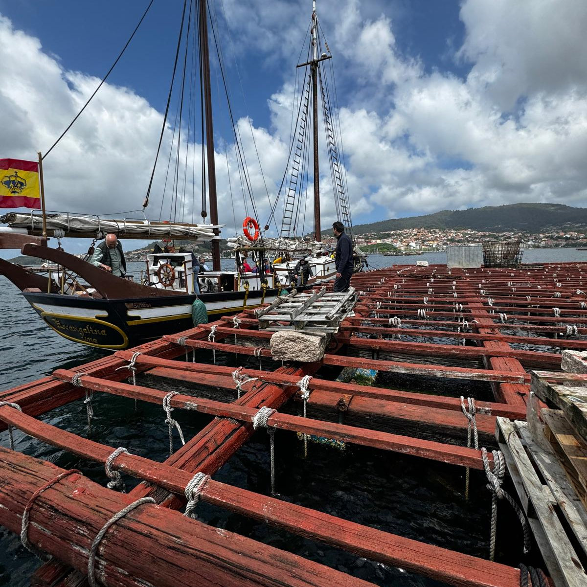 Experiencia en batea: descubre el mejillón gallego desde el mar