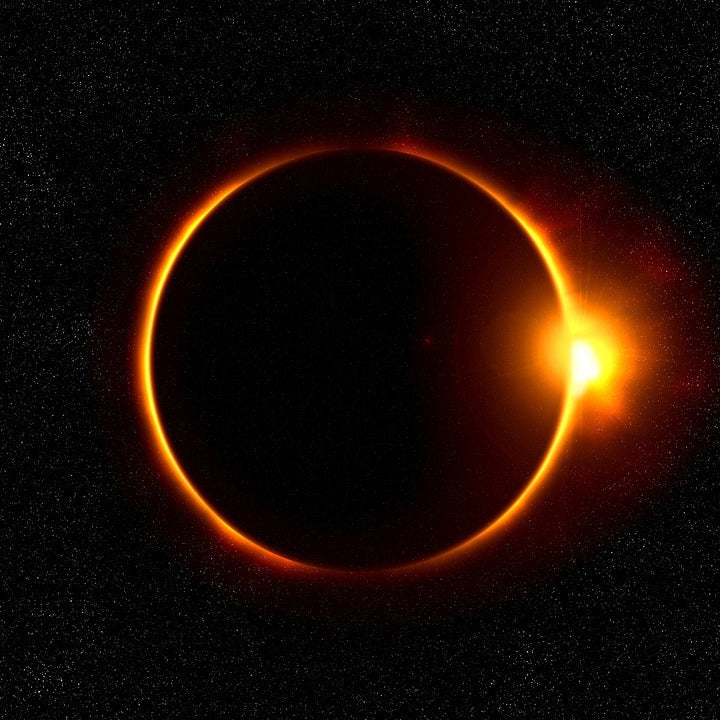 Eclipse entre viñedos: ver el eclipse + cata en viñedo