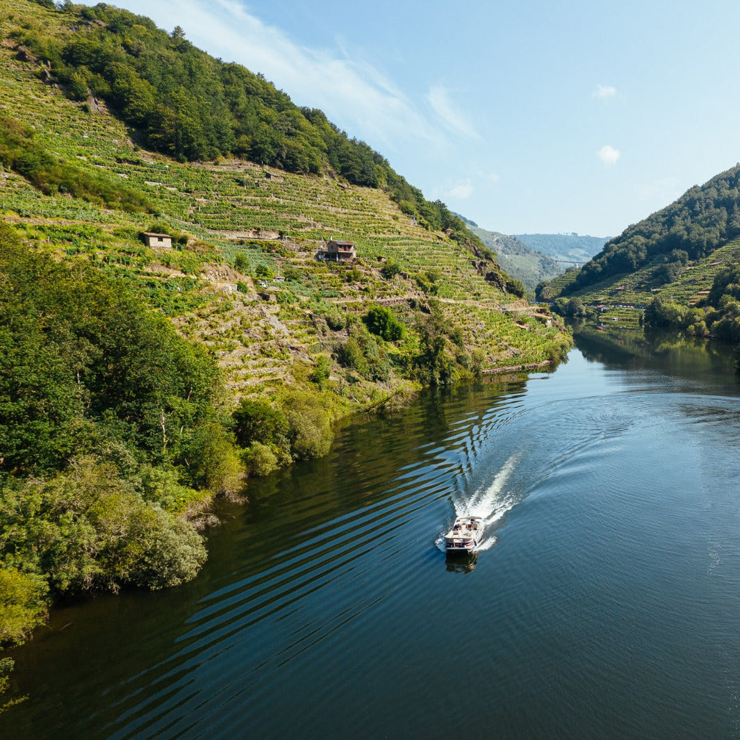 Escapada Ribeira Sacra – Miño (1 día) + Hotel 4★ en Ourense